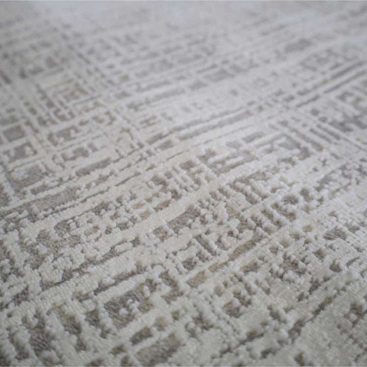 Amadeus Beige Modern Distressed Rug