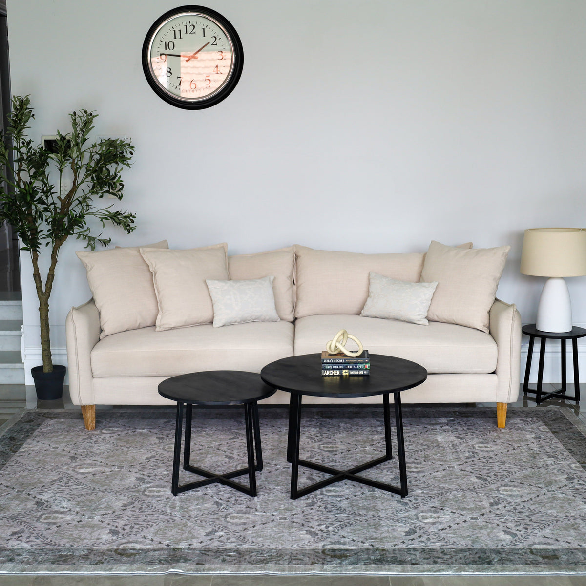 Aanya machine washable rug 180x270 cm – shop online in Australia