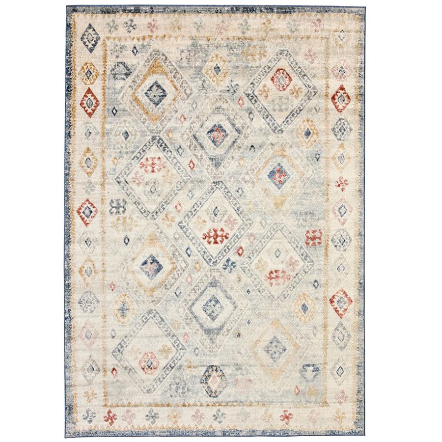 Chetak Multicolour Distressed Rug