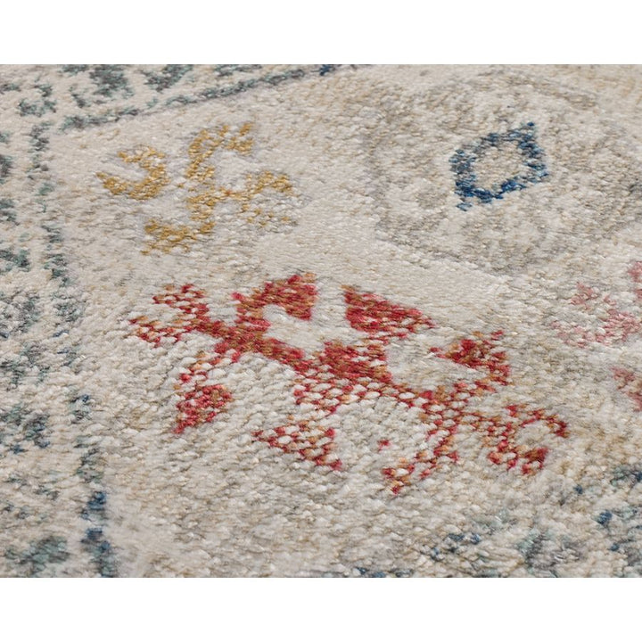 Chetak Multicolour Distressed Rug