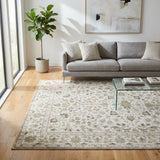 Dhruv Multicoloured Distressed Machine Washable Large Rug