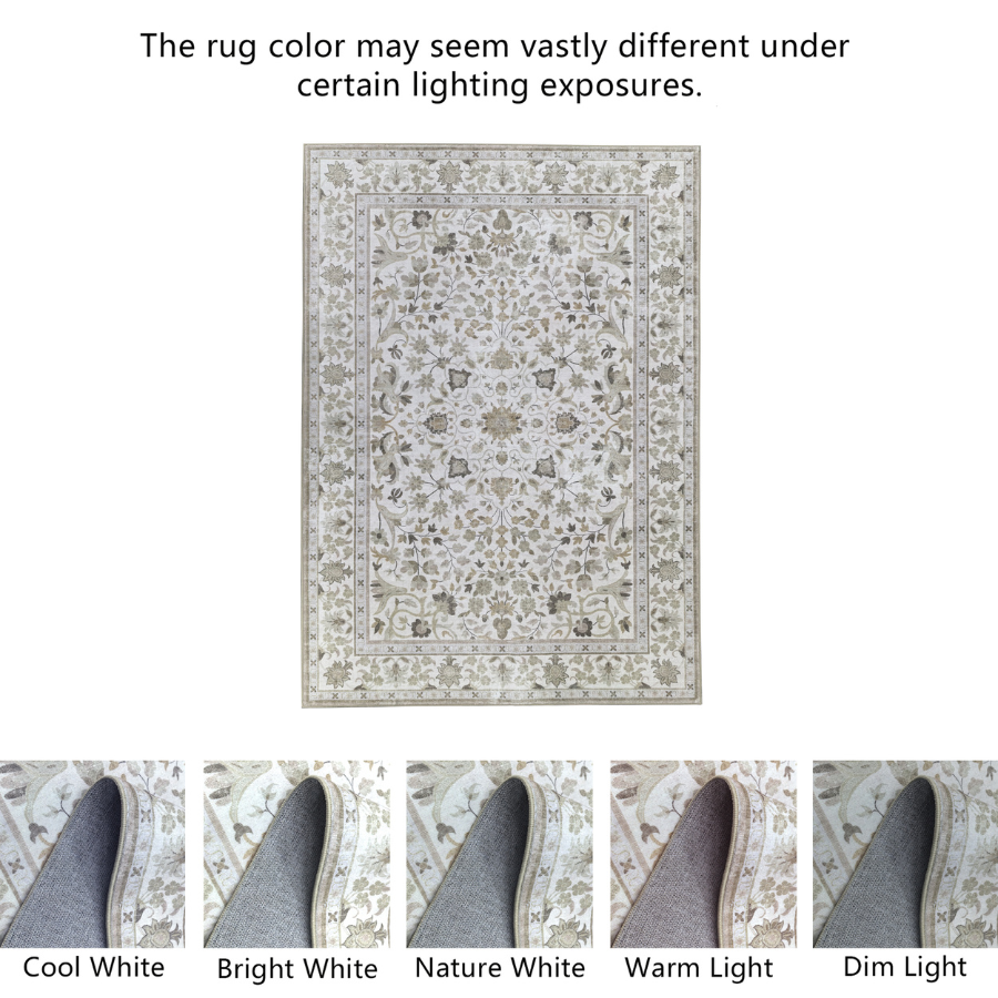 Dhruv Multicoloured Distressed Machine Washable Large Rug