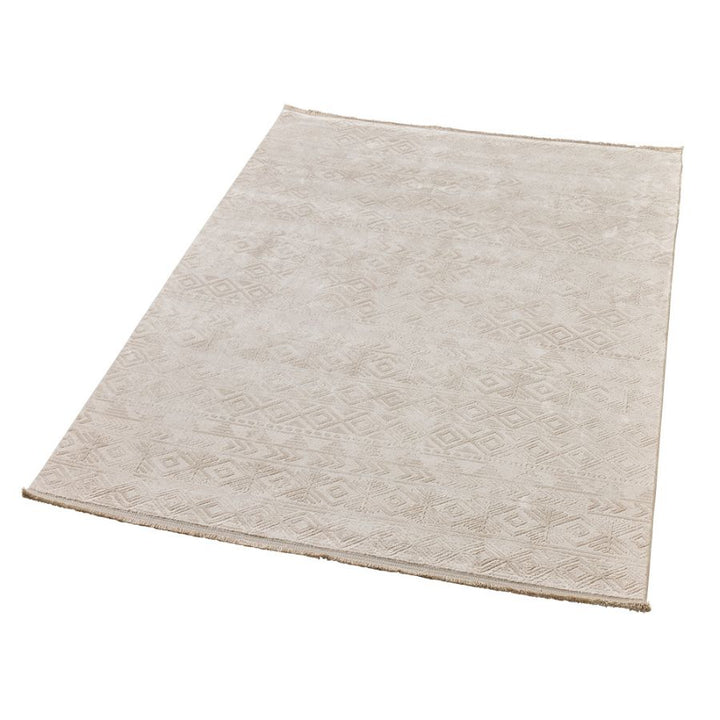 Erika Beige Distressed Rug