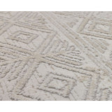 Erika Grey Distressed Rug