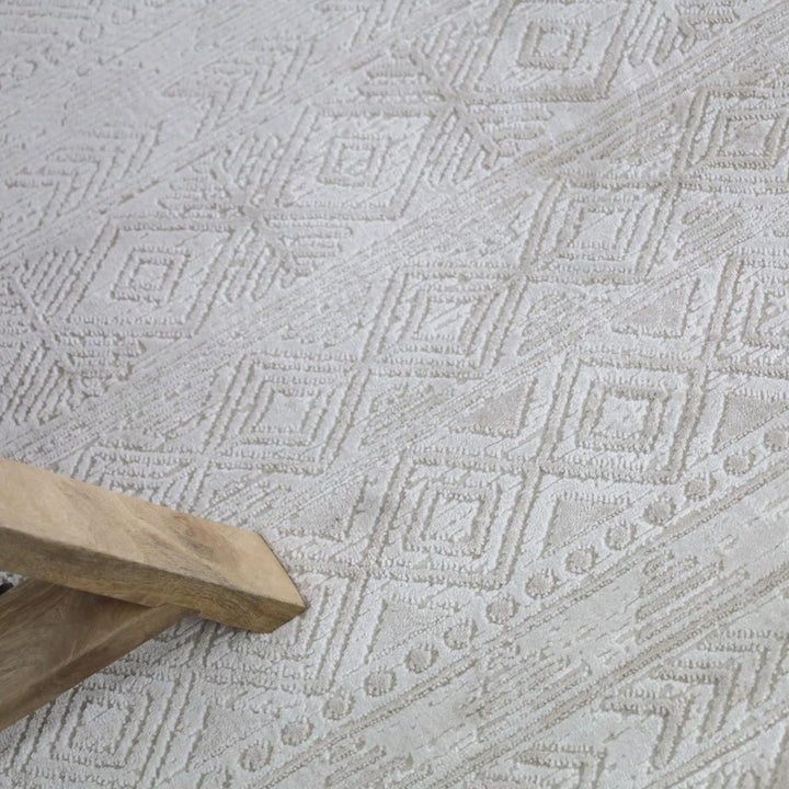 Erika Beige Distressed Rug
