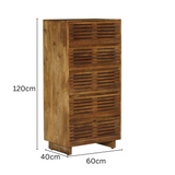 Leo Chest of Drawers – Rattan Front Timber Storage – Buy Drawers Online in Australia