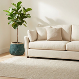 Opal Light Indoor Outdoor Rug
