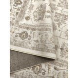 Pasadena Multicoloured Distressed Machine Washable Large Rug