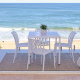 Sapana Indoor Outdoor Rug