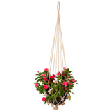 Set Of 4 Sika Red Beads Handmade Macrame Jute Plant Hanger & Pot Holder - 105 cm - Fab Habitat , Macrame Plant hanger, 