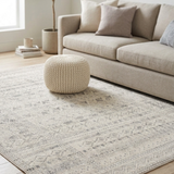 Ikop Light Grey and White Traditional Distressed Extra Large Rug
