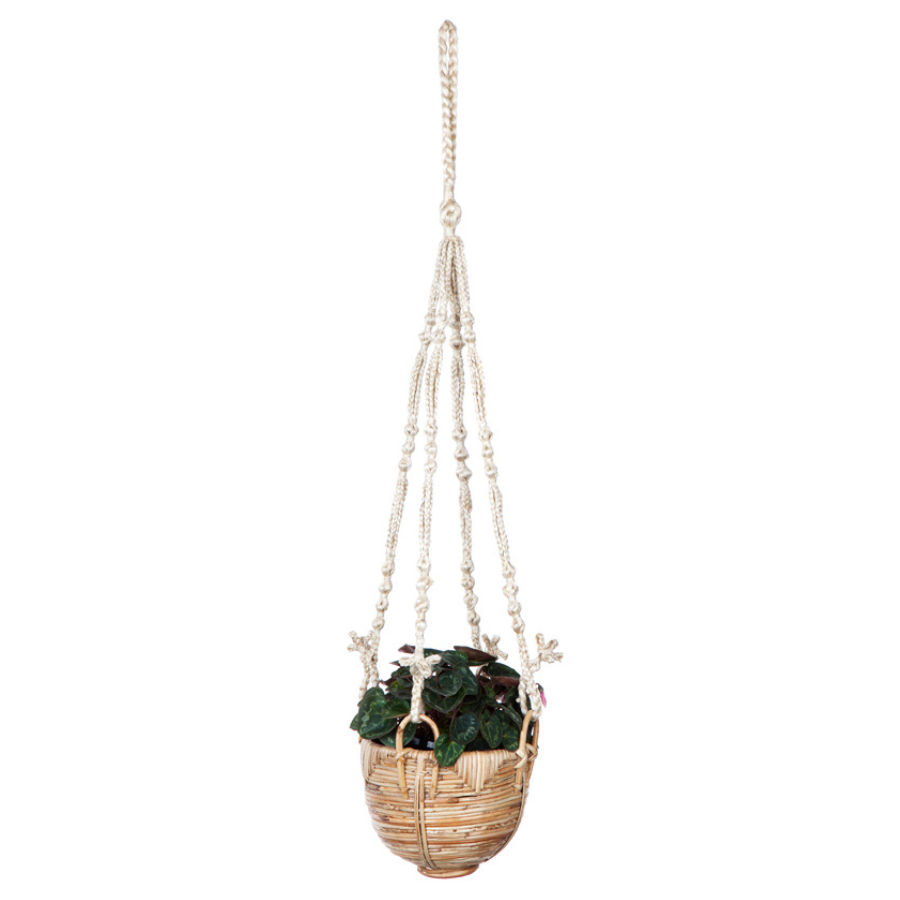 cane hanging planter Buy Set Of 3 Savar Cane Macrame Plant Hanger online in Australia