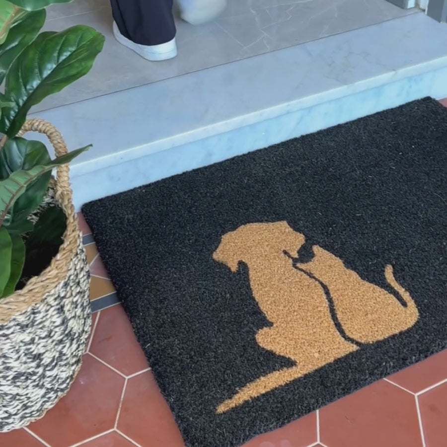 Buddies Black and Natural pvc backed coir doormat